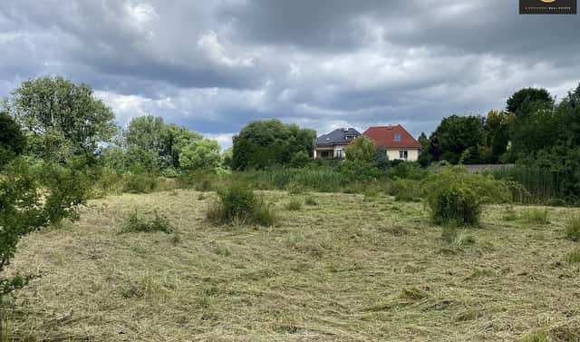 Prodej louky 2 641 m², Tachlovice, okres Praha-západ