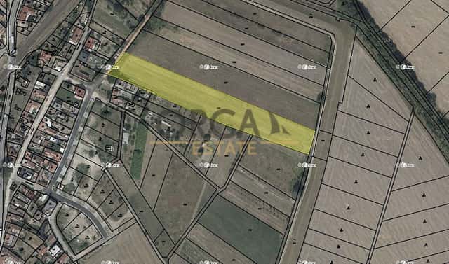 Prodej pole 2 422 m², Moravský Písek, okres Hodonín