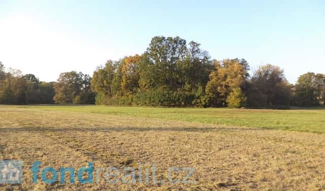 Prodej pozemku 6 981 m², Petrovice u Karviné, okres Karviná