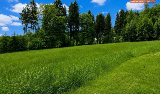 Prodej louky 7 453 m², Deštné v Orlických horách, okres Rychnov nad Kněžnou