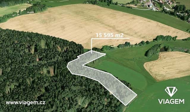 Prodej lesa 3 898 m², Mříčná, okres Semily