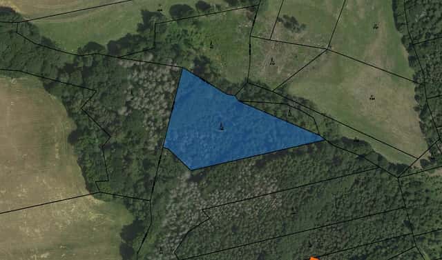 Prodej lesa 838 m², Nedvědice, okres Brno-venkov