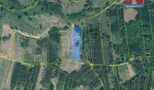 Prodej lesa 31 810 m², Jetětice, okres Písek