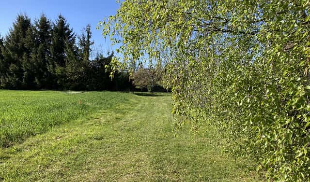 Prodej stavebního pozemku 1 153 m², Rybníček, okres Havlíčkův Brod