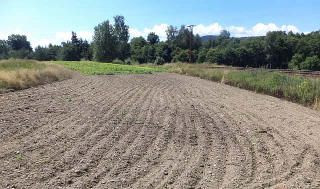 Prodej pozemku 15 644 m², Stráž, okres Tachov