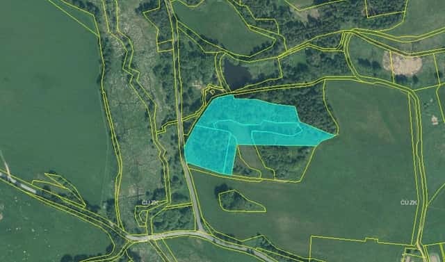 Prodej louky 22 911 m², Hošťka, okres Tachov