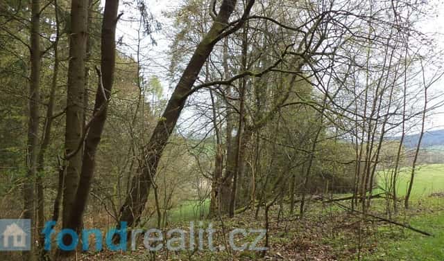 Prodej pole 1 208 m², Bělá nad Radbuzou, okres Domažlice