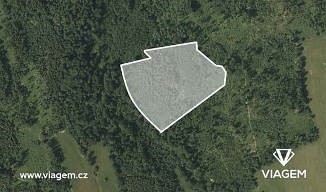 Prodej lesa 19 116 m², Spálov, okres Nový Jičín
