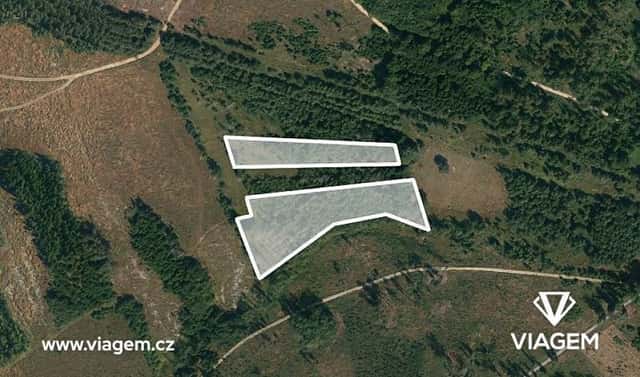Prodej lesa 13 651 m², Dačice, okres Jindřichův Hradec