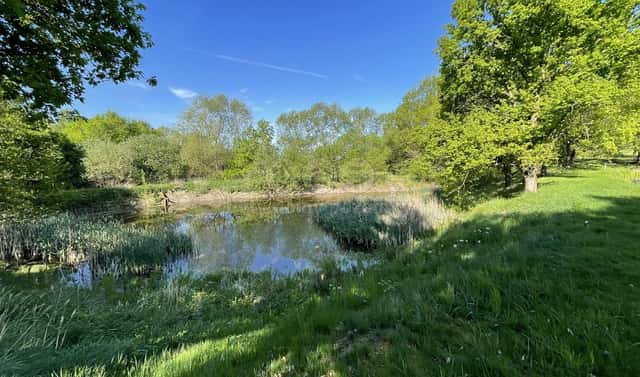 Prodej vodní plochy 1 618 m², Hrejkovice – Níkovice, okres Písek