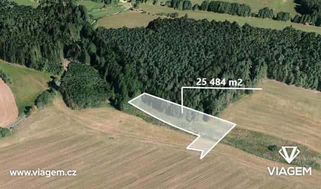 Prodej pole 4 247 m², Nekvasovy, okres Plzeň-jih