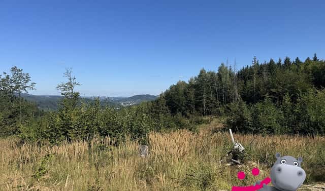 Prodej lesa 5 887 m², Janová, okres Vsetín