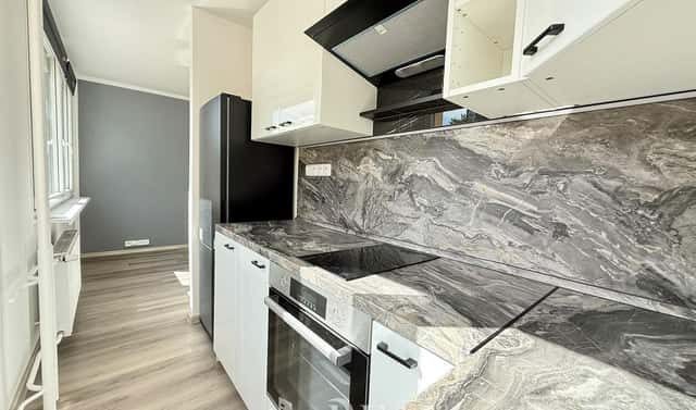 Prodej bytu 1+kk 28 m², K. H. Borovského, Most