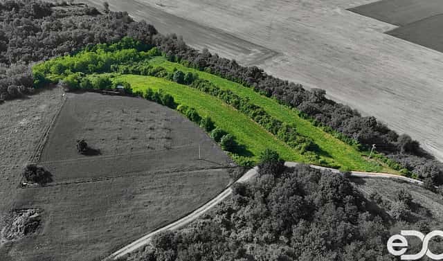 Prodej pozemku 14 560 m², Bechlín, okres Litoměřice