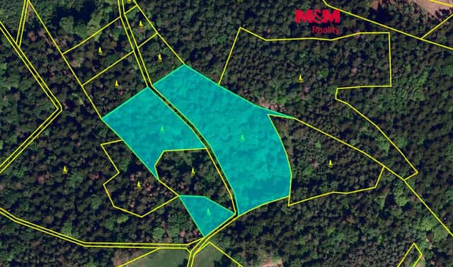 Prodej lesa 26 129 m², Rusava, okres Kroměříž