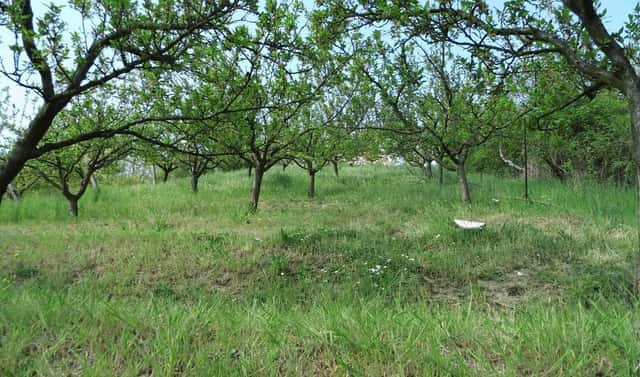 Prodej domu 43 m² s pozemkem 1 412 m², Trnovany, okres Litoměřice