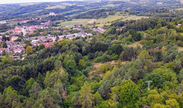 Prodej louky 10 775 m², Kunštát, okres Blansko