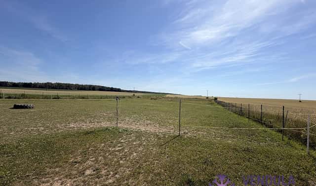 Prodej pole 5 343 m², Dobrovice – Chloumek, okres Mladá Boleslav