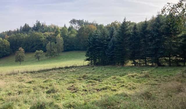 Prodej stavebního pozemku 1 390 m², Děčín