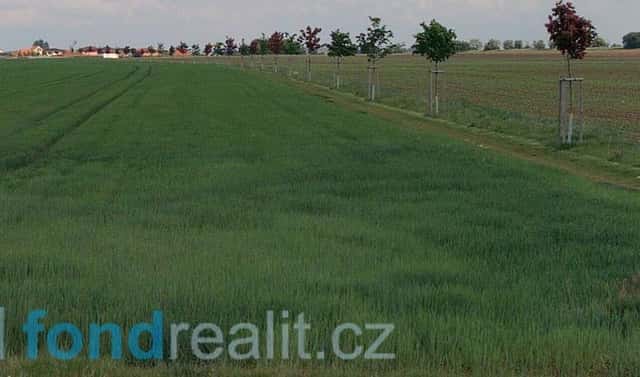 Prodej pozemku 4 552 m², Radonice, okres Praha-východ
