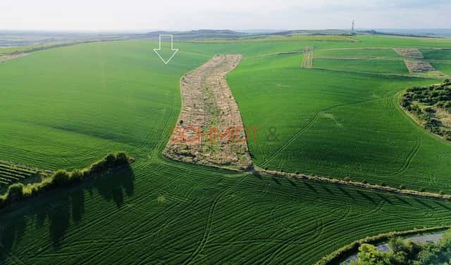 Prodej pole 3 735 m², Hustopeče, okres Břeclav