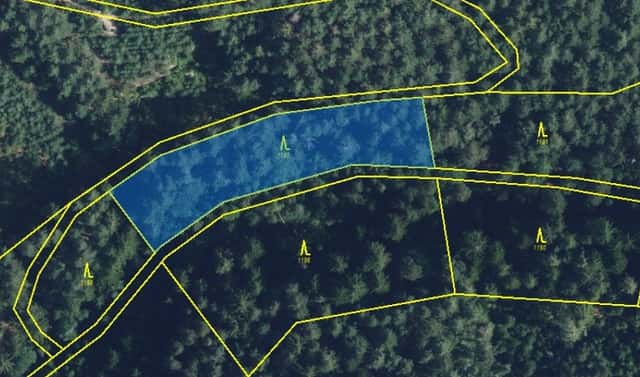 Prodej lesa 5 021 m², Proseč, okres Chrudim