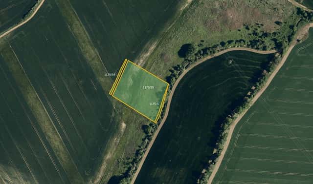 Prodej pole 7 967 m², Zdounky, okres Kroměříž