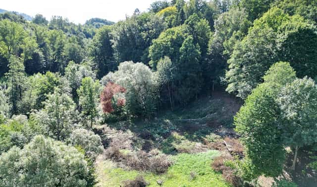 Prodej stavebního pozemku 3 055 m², Zlaté Hory – Ondřejovice, okres Jeseník