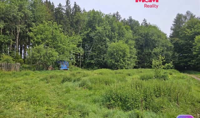 Prodej louky 922 m², Hynčina, okres Šumperk