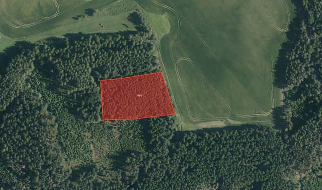 Prodej lesa 7 352 m², Chyše – Žďárek, okres Karlovy Vary
