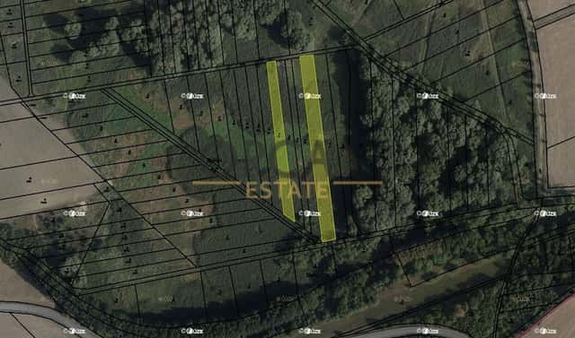Prodej louky 4 747 m², Střížovice, okres Kroměříž