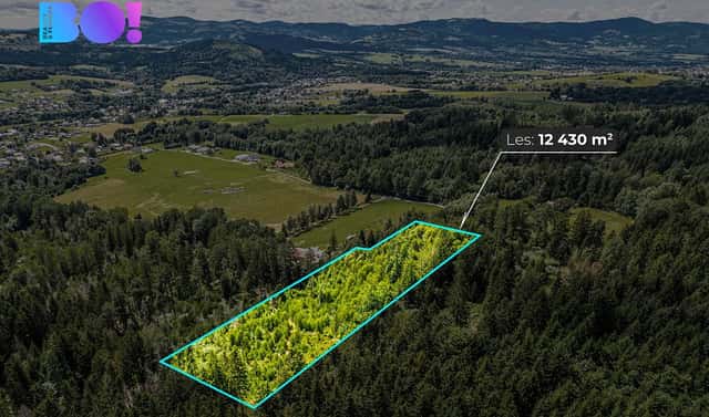 Prodej lesa 12 430 m², Písek, okres Frýdek-Místek