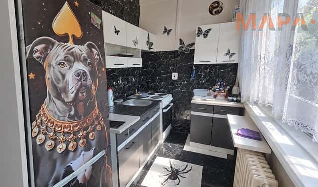 Prodej bytu 1+1 27 m², Růžová, Most