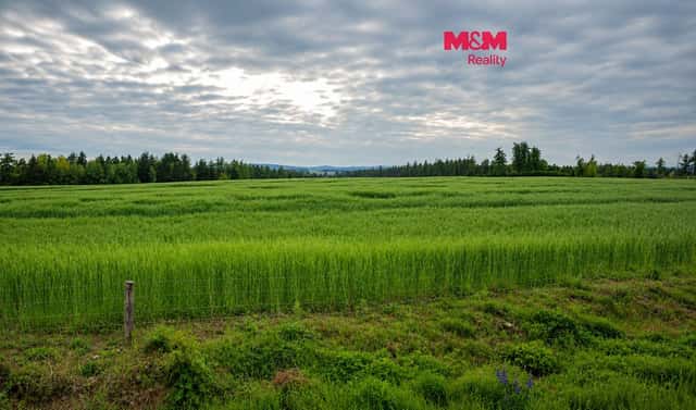 Prodej louky 241 144 m², Kočov, okres Tachov