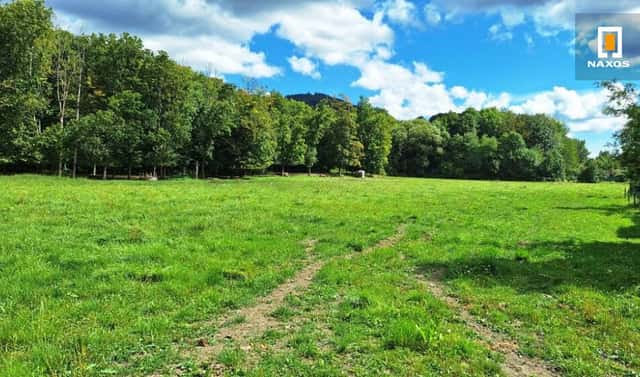 Prodej stavebního pozemku 1 633 m², Vyšní Lhoty, okres Frýdek-Místek