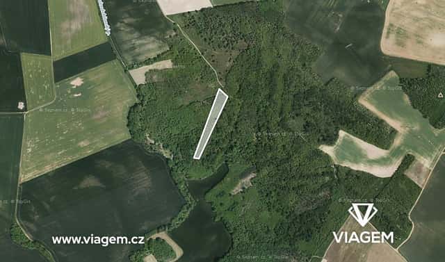 Prodej lesa 2 317 m², Rybníky, okres Znojmo