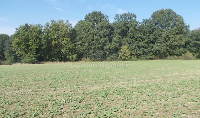 Prodej lesa 18 338 m², Ostrava – Stará Bělá, okres Ostrava-město