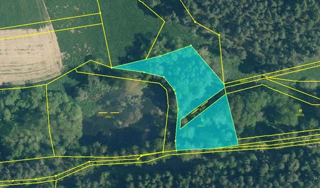 Prodej louky 2 963 m², Bor – Damnov, okres Tachov