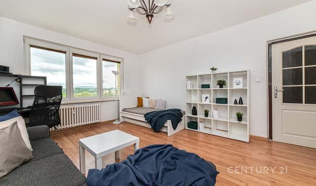 Prodej bytu 1+1 39 m², Hornická, Český Těšín, okres Karviná
