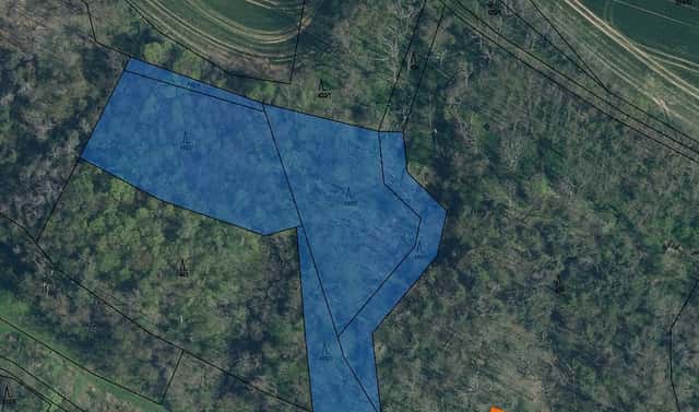 Prodej lesa 573 m², Mělnické Vtelno, okres Mělník