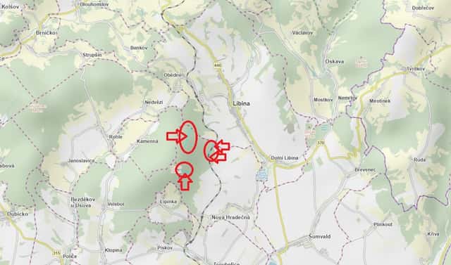 Prodej lesa 2 498 m², Libina – Nýřany, okres Šumperk