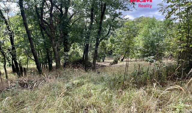 Prodej stavebního pozemku 2 037 m², Pyšely – Zaječice, okres Benešov
