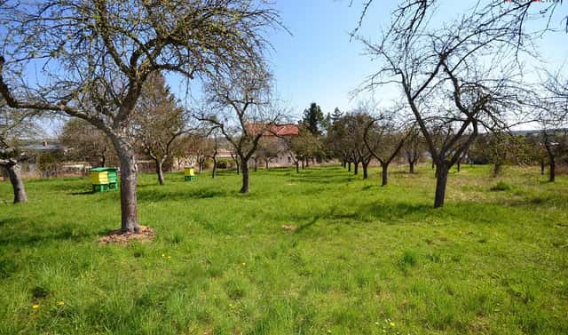 Prodej zahrady 363 m², Ždánská, Bučovice – Kloboučky, okres Vyškov