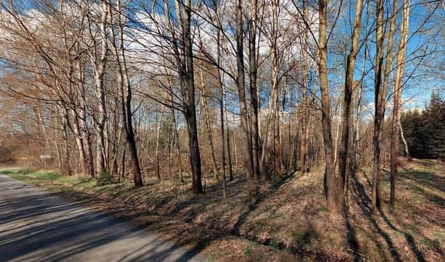 Prodej stavebního pozemku 2 618 m², Rozvadov, okres Tachov