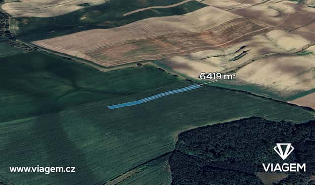 Prodej pole 6 419 m², Hovorany, okres Hodonín