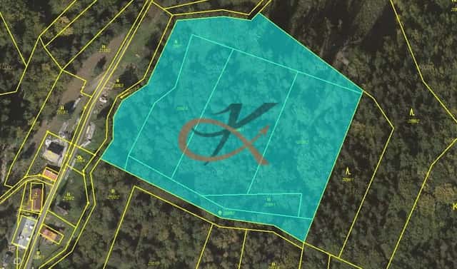 Prodej lesa 15 729 m², Dolní Bečva, okres Vsetín
