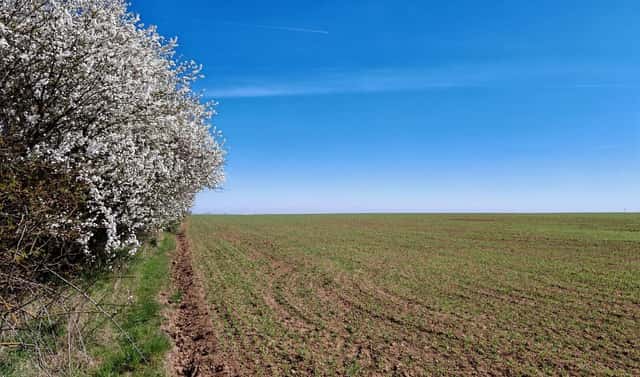Prodej pole 29 272 m², Úvaly, okres Praha-východ