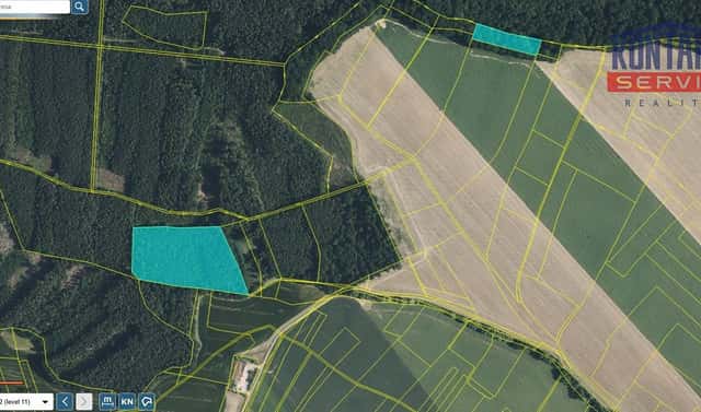 Prodej lesa 32 004 m², Bačalky – Lično, okres Jičín