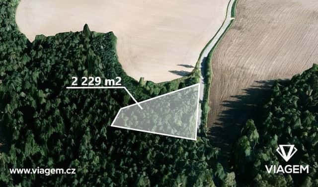 Prodej lesa 1 114 m², Manětín, okres Plzeň-sever