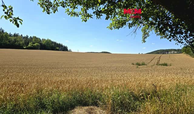 Prodej pole 15 359 m², Horažďovice – Komušín, okres Klatovy